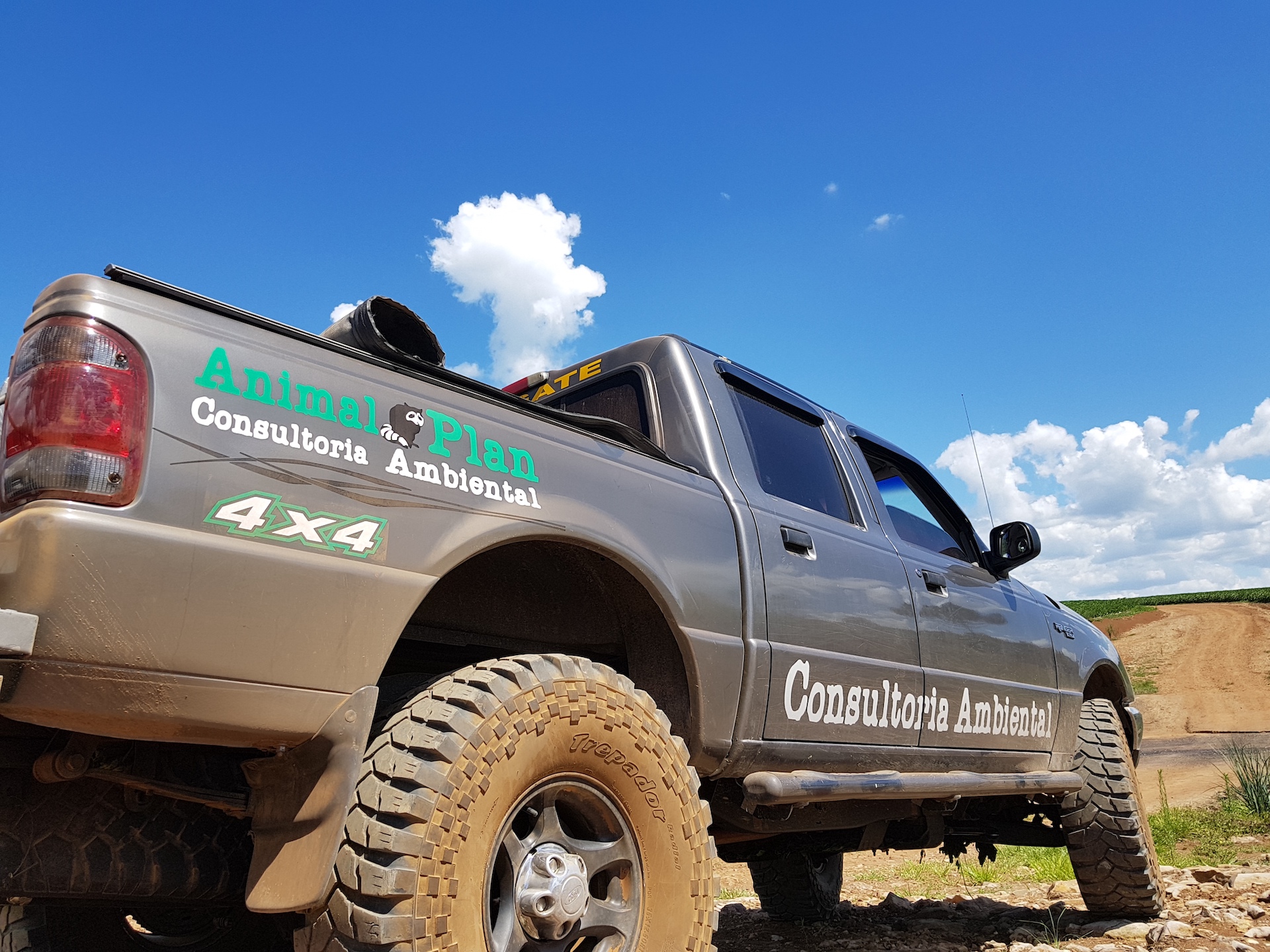 Levantamento de Fauna