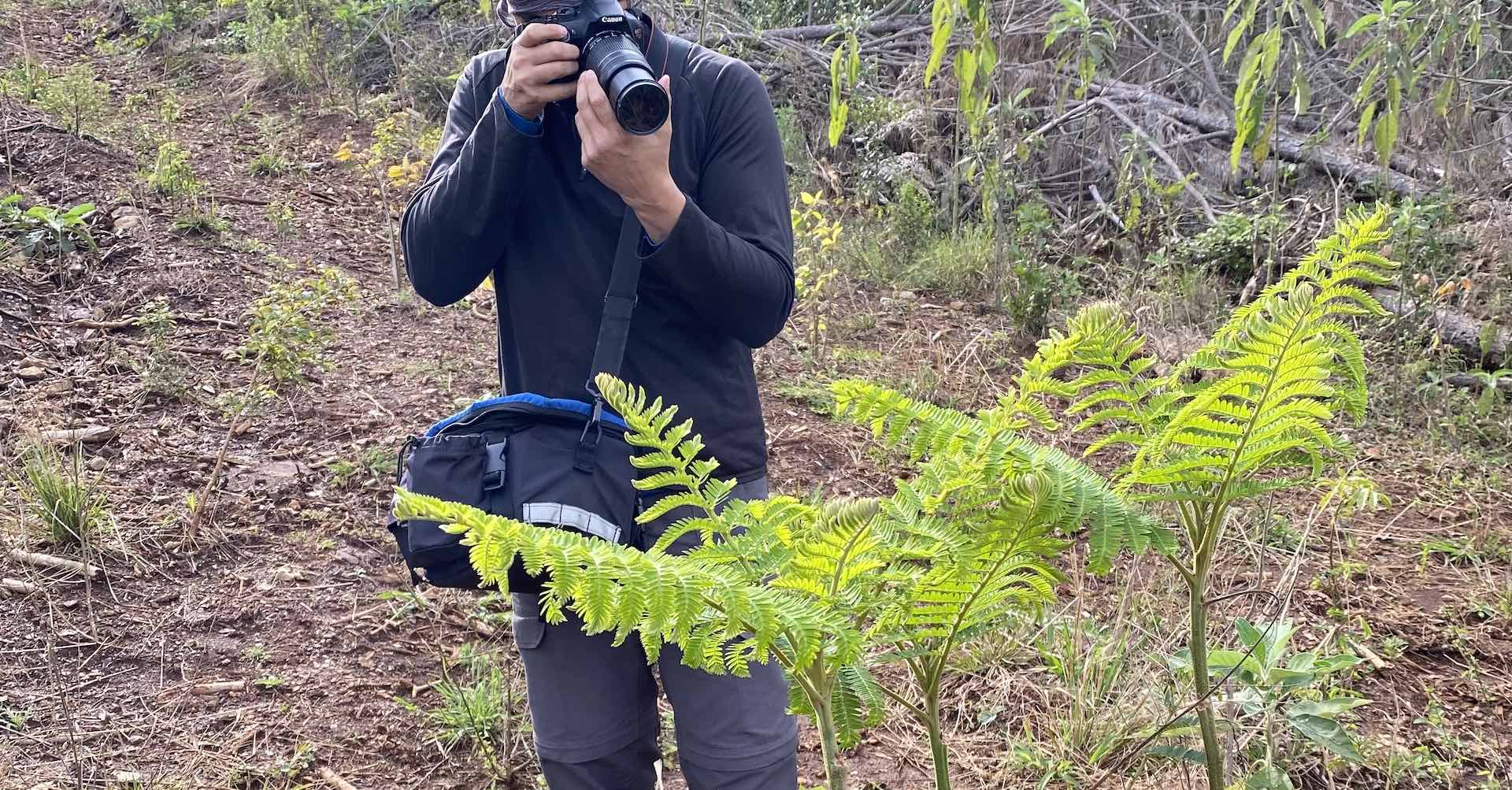 Levantamento de Flora 